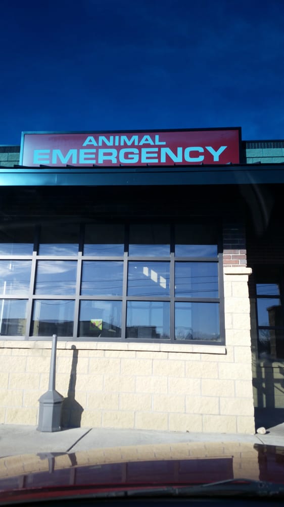 BILLINGS ANIMAL RESCUE KARE Updated October 2024 111 Moore Ln