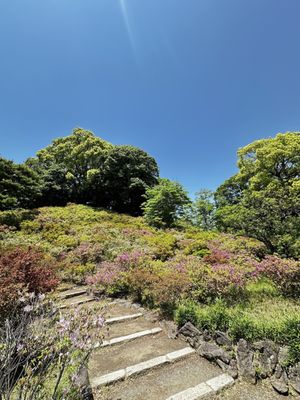 Rikugien Gardens by null