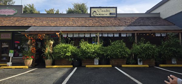 Caadxi Oaxaca by null