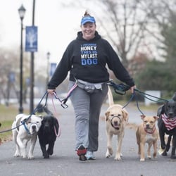 The Unmistakable Dog - The Courier Post featured us!
