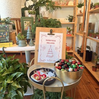Spruce - Coffee & Tea Near Me - Jacksonville, Florida