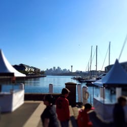 Growers Market - Looking across to Barangaroo