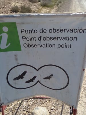 Bardenas Reales by null