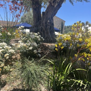 Monserate Winery - Landscape - Wineries Near Me - Fallbrook, California Monserate Winery - Landscape - Wineries Near Me - Fallbrook, California