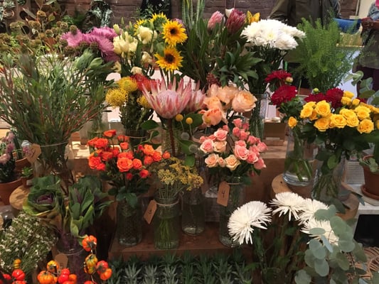 Homecoming by null Homecoming by null