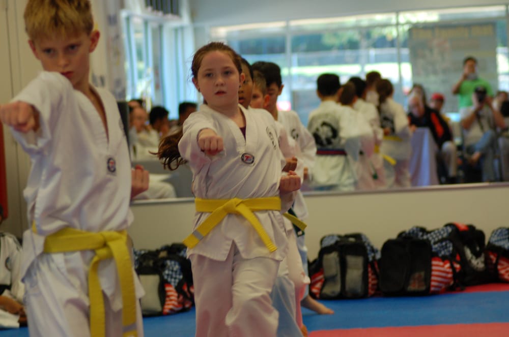 Everest World Class Taekwondo Logo