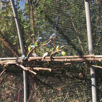 Nova Wild - Bird aviary - Petting Zoos Near Me - Vienna, Virginia