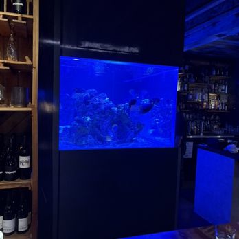 Lechon - Fish Tanks - Tapas Bars Near Me - Portland, Oregon