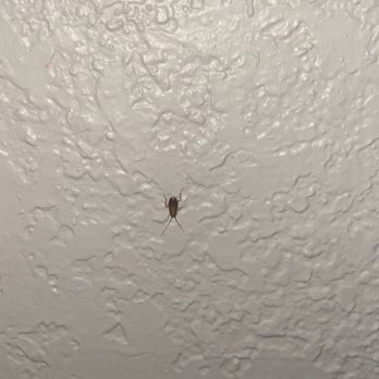 Motel 6 - Roaches - Hotels Near Me - Elizabethtown, Kentucky Motel 6 - Roaches - Hotels Near Me - Elizabethtown, Kentucky