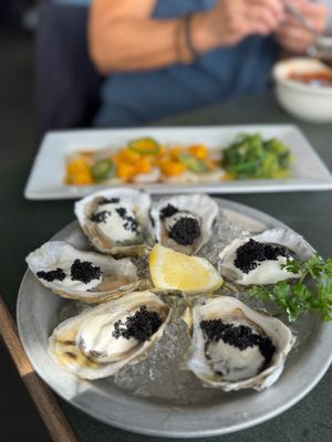 The Lobster Pot by null