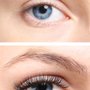 Photo of Dream Lash & Ink