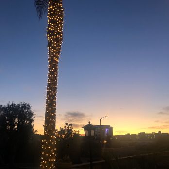 Munoz Christmas Lights - Holiday Decorating Services Near Me Munoz Christmas Lights - Holiday Decorating Services Near Me