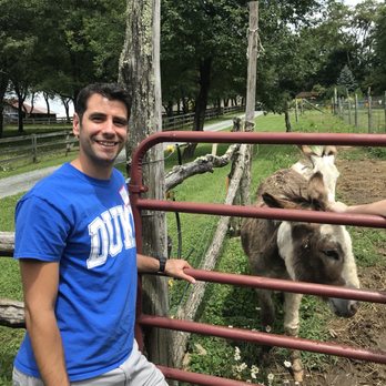 Apple Hill Farm - Attraction Farms Near Me - Banner Elk, North Carolina