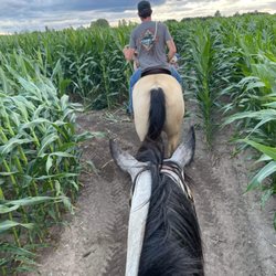 Cornfield trails are a lot of fun. This was taken early in the year before the corn is really tall.