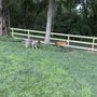 FBD Fence