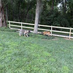 FBD Fence