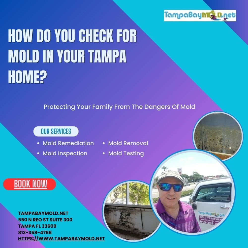 Tampa Bay Mold - mold inspector in Tampa, FL