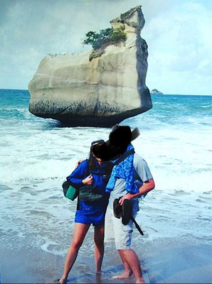 Cathedral Cove Beach by null