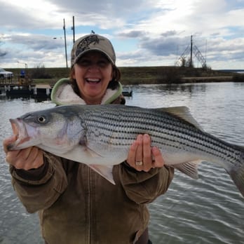 Big Bite Striper Guide Service - Fishing Near Me Big Bite Striper Guide Service - Fishing Near Me