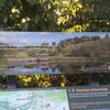 F R Newman Arboretum Park gift card