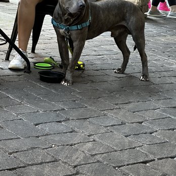 Easy Like Sunday - Dog friendly outdoor patio - Breakfast & Brunch Near Me - Charlotte, North Carolina Easy Like Sunday - Dog friendly outdoor patio - Breakfast & Brunch Near Me - Charlotte, North Carolina