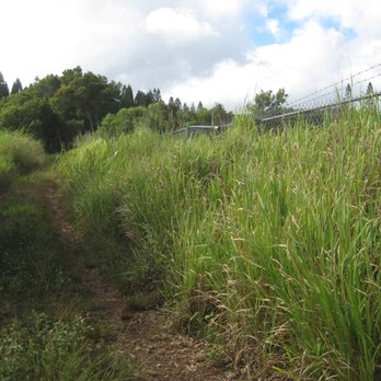Mahana Ridge Trail - Hiking Near Me Mahana Ridge Trail - Hiking Near Me