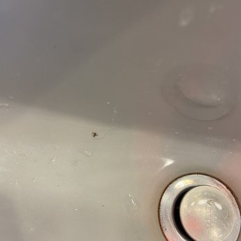 La Tourelle - Dead fly in sink, weird stains - Hotels Near Me - Ithaca, New York