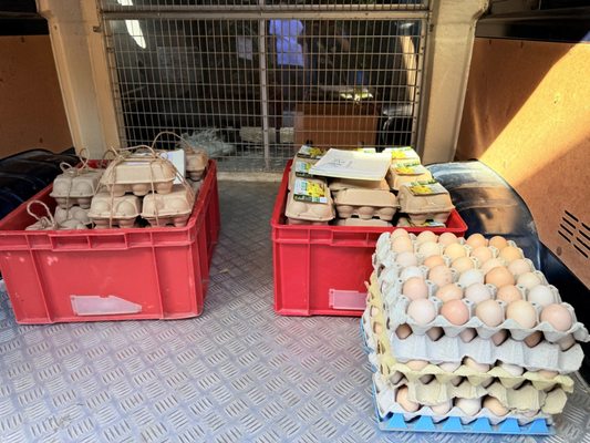 Kadoorie Farm and Botanic Garden by null