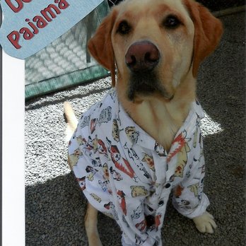 Mother Pupper - Pet Boarding Near Me - Portland, Oregon Mother Pupper - Pet Boarding Near Me - Portland, Oregon