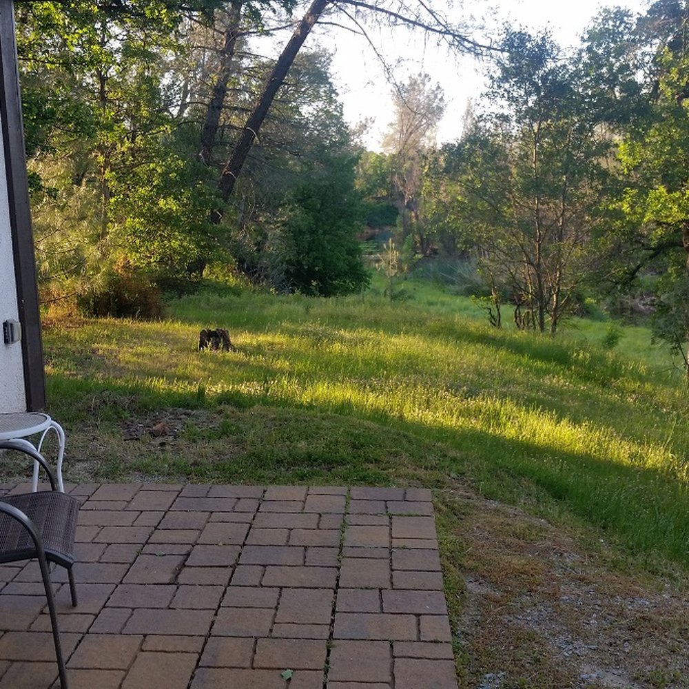 The Hope Inn - Mornings are so peaceful here - Hotels Near Me - Redding, California The Hope Inn - Mornings are so peaceful here - Hotels Near Me - Redding, California