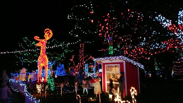 Stanley Park Railway by null