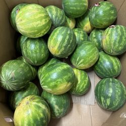 Niagara County Produce - I carried a watermelon!
