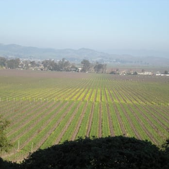 Gloria Ferrer Winery - Beautiful view of the vines... - Wineries Near Me - Sonoma, California Gloria Ferrer Winery - Beautiful view of the vines... - Wineries Near Me - Sonoma, California