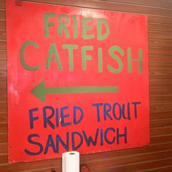 Brookton Catfish School  - Yummy!!
