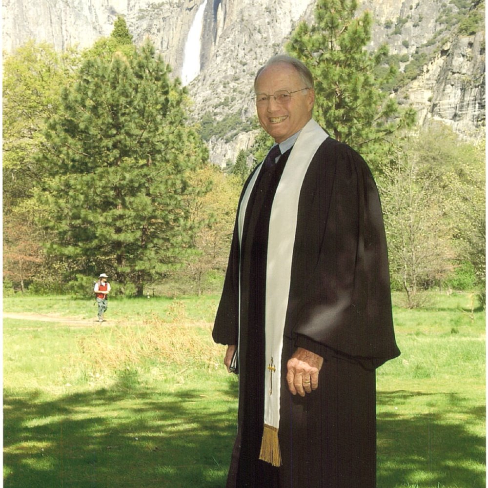 Bee movie | Movies that rock Wiki | Fandom, image size:1000x1000