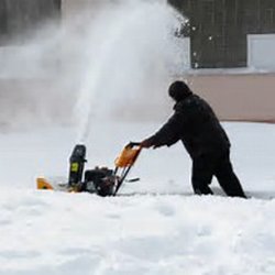 Let It Snow Plowing Landscaping Company