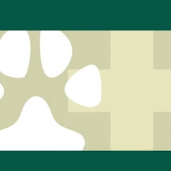 Ottawa Animal Hospital West