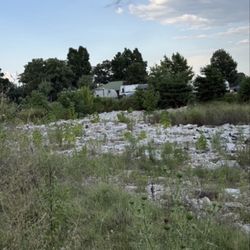 Channel 6 Wate Tv - The dump is almost hidden by vegetation
