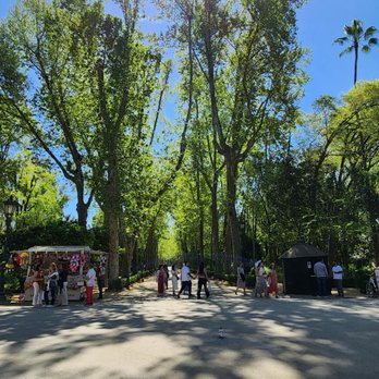 Parque de María Luisa - Horse carriage rides - Botanical Gardens Near Me - Seville, SE