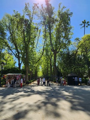 Parque de María Luisa by null