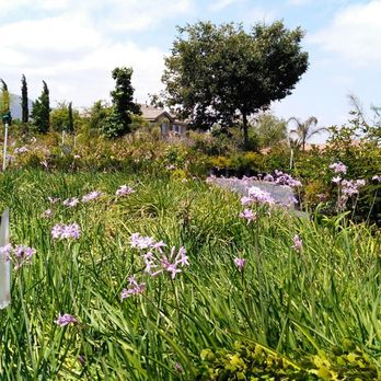 P & C Nursery - Simply and beautifully laid out - Nurseries & Gardening Near Me - Corona, California P & C Nursery - Simply and beautifully laid out - Nurseries & Gardening Near Me - Corona, California