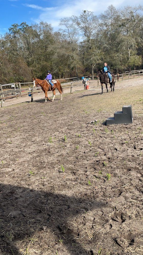 Highland Farm - equestrian in Middleburg, FL