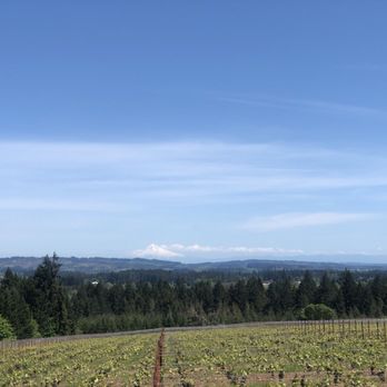 Ardiri Winery & Vineyards - Wineries Near Me - Cornelius, Oregon Ardiri Winery & Vineyards - Wineries Near Me - Cornelius, Oregon