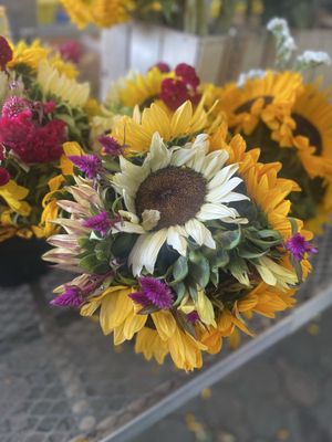 Briermere Farms by null