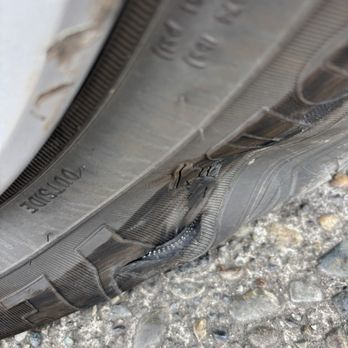 Tire Dogs - Slashed tires - Tires Near Me - Lacey, Washington Tire Dogs - Slashed tires - Tires Near Me - Lacey, Washington
