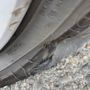 Tire Dogs