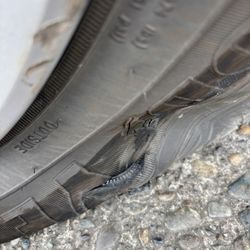 Tire Dogs - Slashed tires