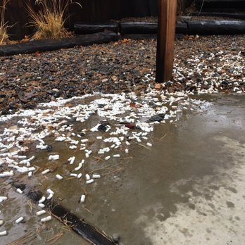 Post-Haste Mail Center - Literally flooding in Reno - still no dissolving of the "biodegradable" packing peanuts that Post Haste said to put out in the yard - Notaries Near Me - Arcata, California Post-Haste Mail Center - Literally flooding in Reno - still no dissolving of the "biodegradable" packing peanuts that Post Haste said to put out in the yard - Notaries Near Me - Arcata, California