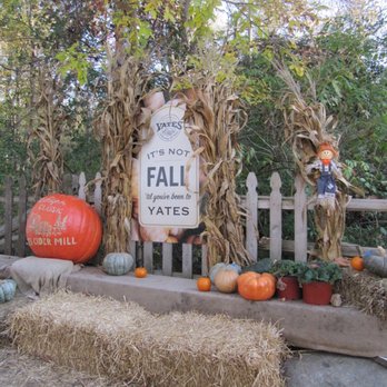Yates Cider Mill - Donuts Near Me - Rochester Hills, Michigan Yates Cider Mill - Donuts Near Me - Rochester Hills, Michigan