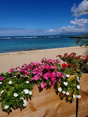 Barefoot Beach Cafe @ Queen's Surf Beach by null